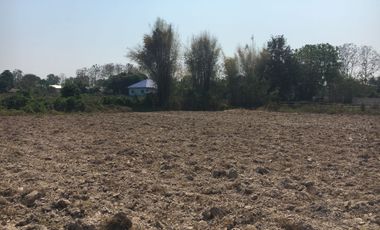 Land for sale in Pa Phai, Chiang Mai