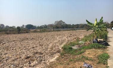 Land for sale in Pa Phai, Chiang Mai