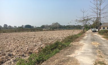 Land for sale in Pa Phai, Chiang Mai