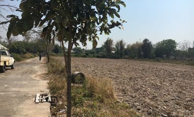 Land for sale in Pa Phai, Chiang Mai