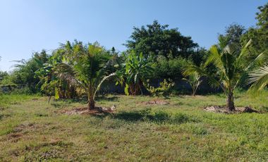 Land for sale in Cha-Am, Phetchaburi