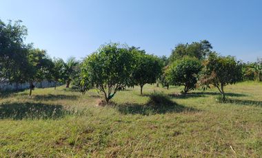 Land for sale in Cha-Am, Phetchaburi
