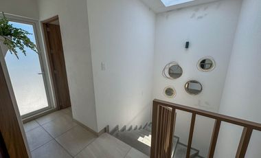 Ciruelos Valentina Plus, San Mateo Atenco