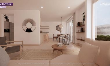 Ciruelos Valentina Plus, San Mateo Atenco