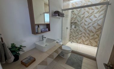 Ciruelos Valentina Plus, San Mateo Atenco