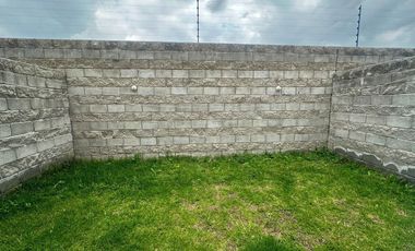 Ciruelos Valentina Plus, San Mateo Atenco