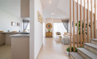 Ciruelos Valentina Plus, San Mateo Atenco