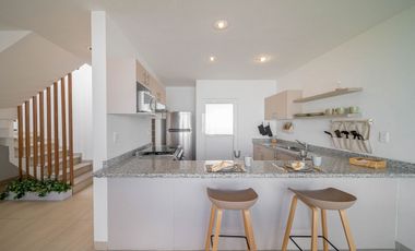 Ciruelos Valentina Plus, San Mateo Atenco