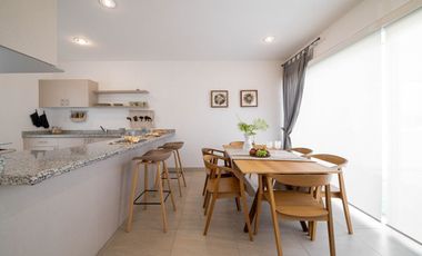 Ciruelos Valentina Plus, San Mateo Atenco