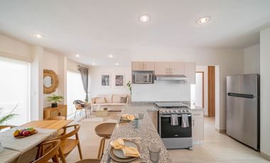 Ciruelos Valentina Plus, San Mateo Atenco