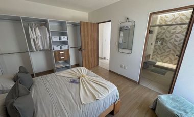 Ciruelos Valentina Plus, San Mateo Atenco