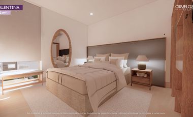 Ciruelos Valentina Plus, San Mateo Atenco