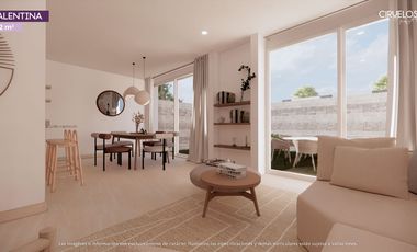 Ciruelos Valentina Plus, San Mateo Atenco