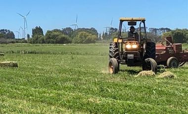 ESPECTACULAR PREDIO AGRÍCOLA CON CASA EN LOS ÁNGELES.