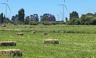 ESPECTACULAR PREDIO AGRÍCOLA CON CASA EN LOS ÁNGELES.