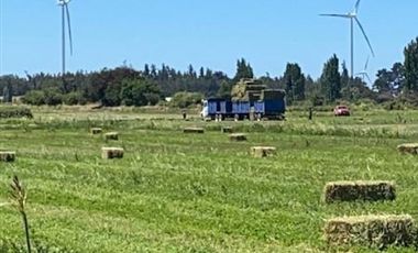 ESPECTACULAR PREDIO AGRÍCOLA CON CASA EN LOS ÁNGELES.