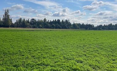 ESPECTACULAR PREDIO AGRÍCOLA CON CASA EN LOS ÁNGELES.