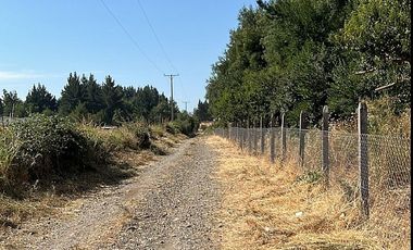 ESPECTACULAR PREDIO AGRÍCOLA CON CASA EN LOS ÁNGELES.