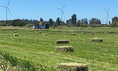 ESPECTACULAR PREDIO AGRÍCOLA CON CASA EN LOS ÁNGELES.