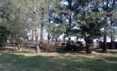 Quinta - Arroyo Seco - Esquina - Arboles