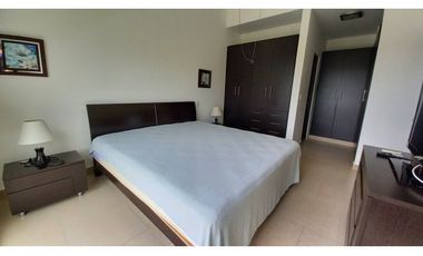 Alquiler Amplio Apartamento 1 Recamara, Amoblado, PH Soleo.