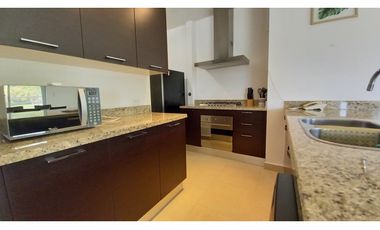 Alquiler Amplio Apartamento 1 Recamara, Amoblado, PH Soleo.