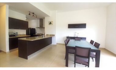 Alquiler Amplio Apartamento 1 Recamara, Amoblado, PH Soleo.