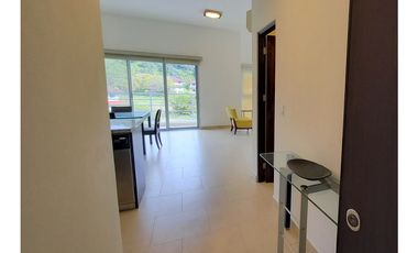 Alquiler Amplio Apartamento 1 Recamara, Amoblado, PH Soleo.