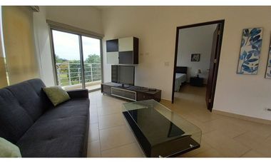 Alquiler Amplio Apartamento 1 Recamara, Amoblado, PH Soleo.