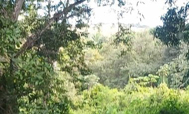 SE VENDE FINCA  LAS CUESTAS VA TOABRÉ PENONOMÉ