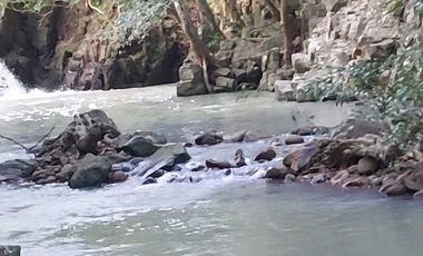 SE VENDE FINCA  LAS CUESTAS VA TOABRÉ PENONOMÉ