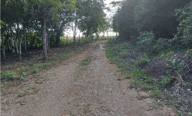 SE VENDE FINCA  LAS CUESTAS VA TOABRÉ PENONOMÉ