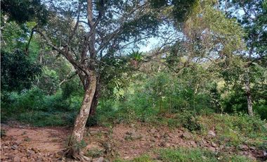 SE VENDE FINCA  LAS CUESTAS VA TOABRÉ PENONOMÉ
