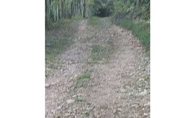 SE VENDE FINCA  LAS CUESTAS VA TOABRÉ PENONOMÉ
