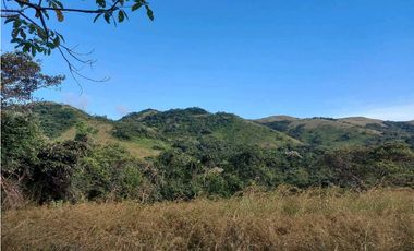 SE VENDE FINCA  LAS CUESTAS VA TOABRÉ PENONOMÉ