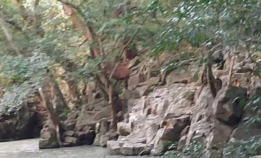 SE VENDE FINCA  LAS CUESTAS VA TOABRÉ PENONOMÉ
