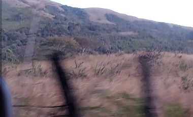 SE VENDE FINCA  LAS CUESTAS VA TOABRÉ PENONOMÉ