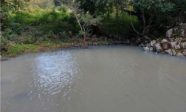 SE VENDE FINCA  LAS CUESTAS VA TOABRÉ PENONOMÉ
