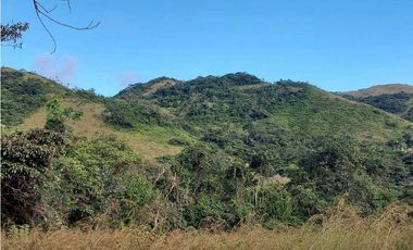SE VENDE FINCA  LAS CUESTAS VA TOABRÉ PENONOMÉ