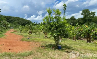 Land for sale in Dong Mahawan, Chiang Rai