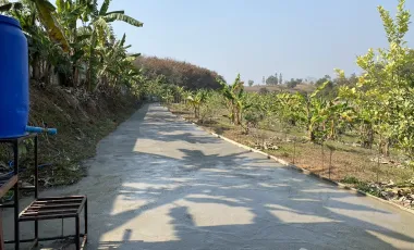 Land for sale in Dong Mahawan, Chiang Rai