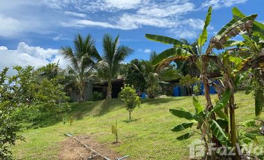 Land for sale in Dong Mahawan, Chiang Rai