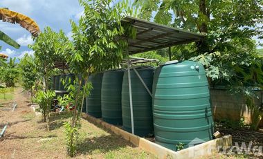 Land for sale in Dong Mahawan, Chiang Rai