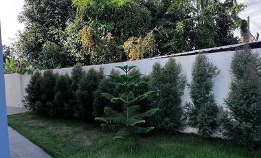 4 Bedroom House for sale in Nong Chom, Chiang Mai