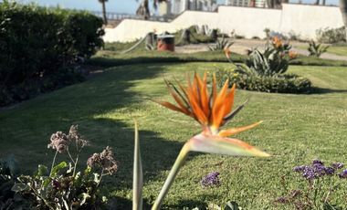 RENTA CONDOMINIO EN LA PALOMA