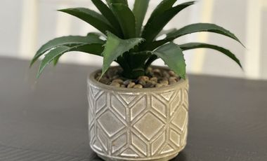 RENTA CONDOMINIO EN LA PALOMA