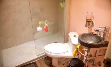 VENDO APARTAMENTO TIPO LOFT EN EL CASCO
