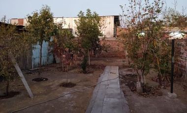 Tome/Coronel - Casa - Venta