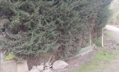 Santa Filomena Norte/Santa Filomena Norte - Casa - Venta