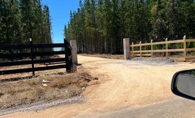 Fundo Pailimo/Fundo Pailimo - Sitio - Venta